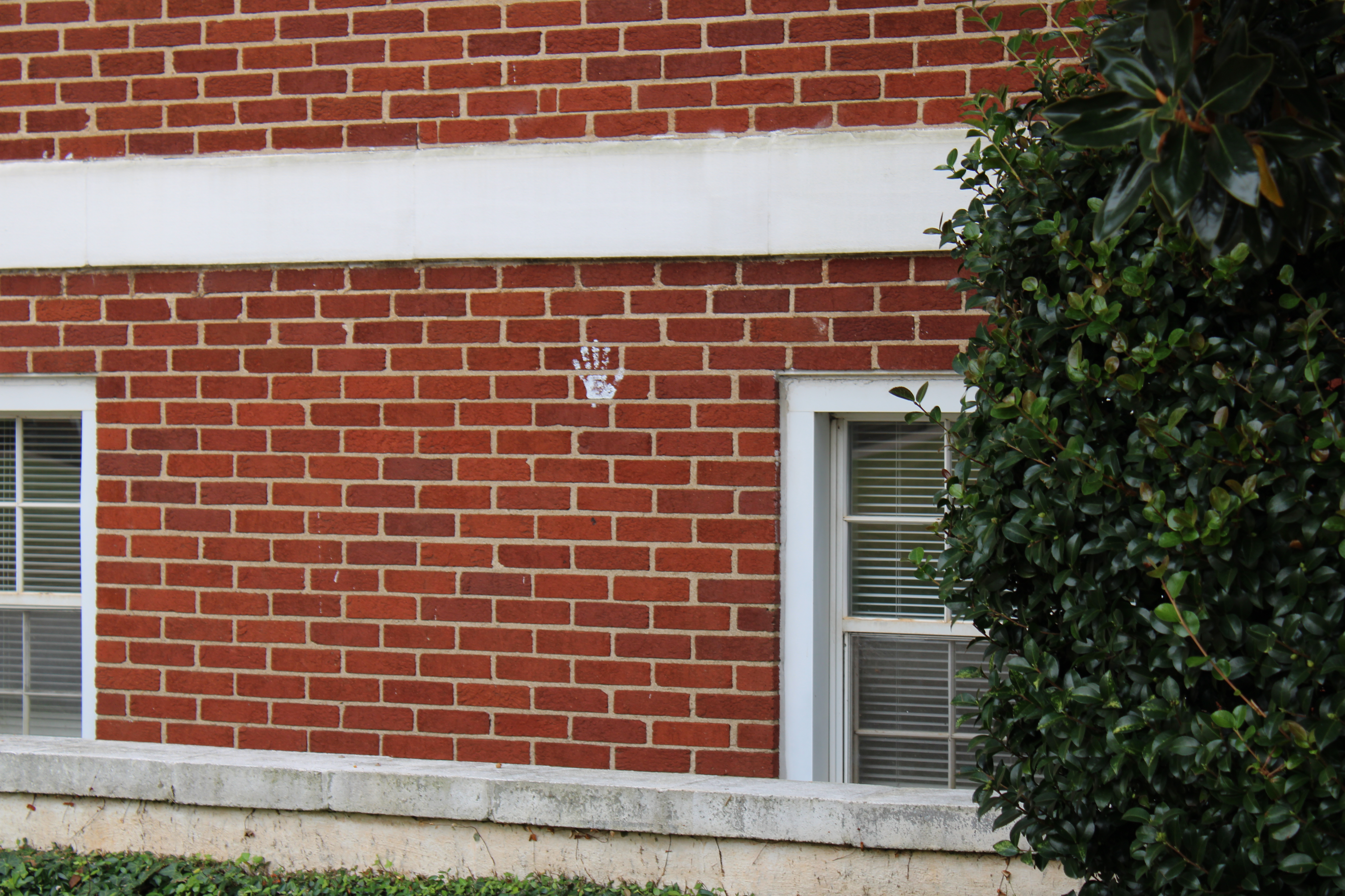 building 6